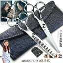 【10%OFFクーポン配布中!】ハサミ スキバサミ カットハサミ 2本セット ケース付き 髪 かみ おしゃれ ヘアカット ひげ 理容 シザー プロ仕様 セルフ ...