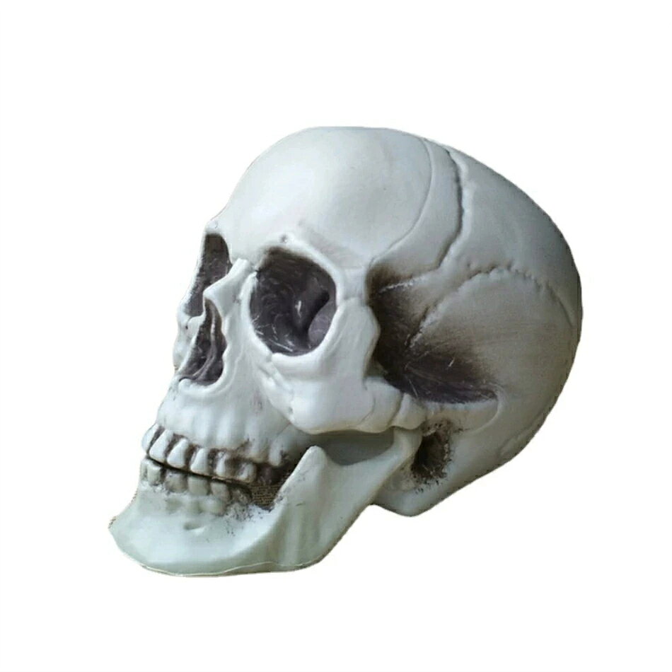 🎃 リアルな人頭骨モデル - ハロウィン装飾の決定版！ 🎃 ハロウィンの雰囲気を一気に盛り上げる、リアルな人頭骨モデルが登場！この精巧に作られた頭蓋骨は、まるで本物のような質感とディテールで、訪れる人々を驚かせること間違いなしです。 特徴: 🦴 リアルなディテール: 骨の質感や細部にまでこだわったデザインで、まるで本物の頭蓋骨のようなリアルさを再現。 👻 高品質素材: 耐久性のある素材を使用しており、屋内外どちらの装飾にも最適です。長期間の使用でも色褪せや劣化が少なく、毎年のハロウィンに活躍します。 🎨 多用途なデザイン: ハロウィンの会場装飾はもちろん、ホラーイベントや映画の小道具としても使用可能。クリエイティブなアイデアで様々なシーンに活用できます。 🕯? 簡単設置: 軽量設計で持ち運びやすく、どこにでも簡単に設置できます。テーブルの上や棚、庭の一角に置くだけで、恐怖の雰囲気を演出。 使用シーン: ハロウィンパーティーの会場装飾 ホラー映画や演劇の小道具 テーマパークやお化け屋敷の演出 自宅のインテリアとしてもユニークなアクセントに このリアルな人頭骨モデルで、今年のハロウィンを一段とスリリングに演出しましょう。ゲストを驚かせる準備はできていますか？ 注意事項: 小さなお子様の手の届かない場所に設置してください。装飾目的以外の使用はお控えください。 この商品で、忘れられないハロウィンの思い出を作りましょう！