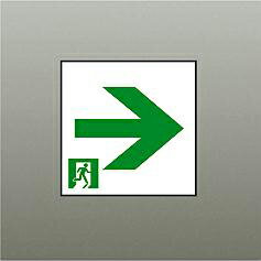 DAIKO 大光電機 LED通路誘導灯C級用パネル DP-36866E