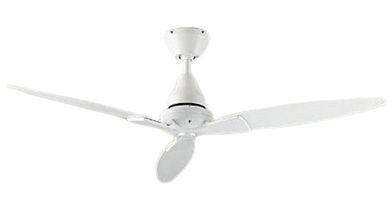 饤ȥ롡ŷԾŹ㤨DAIKO ŵ ⥳ե󥰥ե DP-41997פβǤʤ17,317ߤˤʤޤ