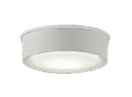 DAIKO 大光電機 LED軒下シーングライト DWP-40248A DAIKO 大光電機 LED軒下シーングライト DWP-40248A