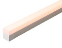 DNライティング LED建築化照明 PWM調光型 (電源接続コード必要) TRM550L24S-FMZ