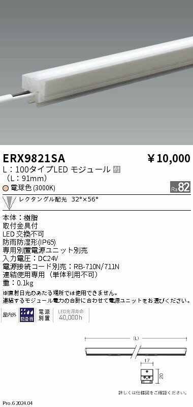 ERX9821SA ENDO照明 遠藤照明 【メーカー直送】 アウトドアリニア17＿L100＿3000K...