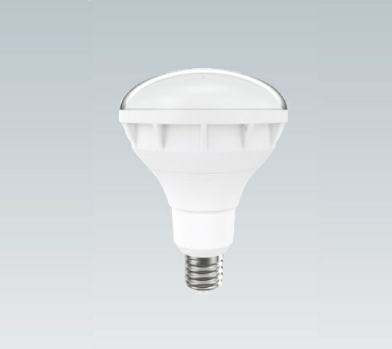 ENDO ��ƣ����(V) LED���������ݥåȥ饤���ѥ��� RAD590N