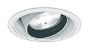 ENDO 遠藤照明 LEDユニバーサルダウンライト 電源ユニット別売 ERD6718WA