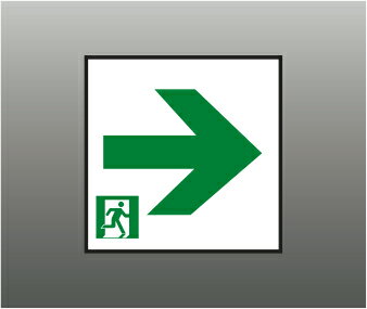 KOIZUMI コイズミ照明 誘導灯C級パネル AR54538E