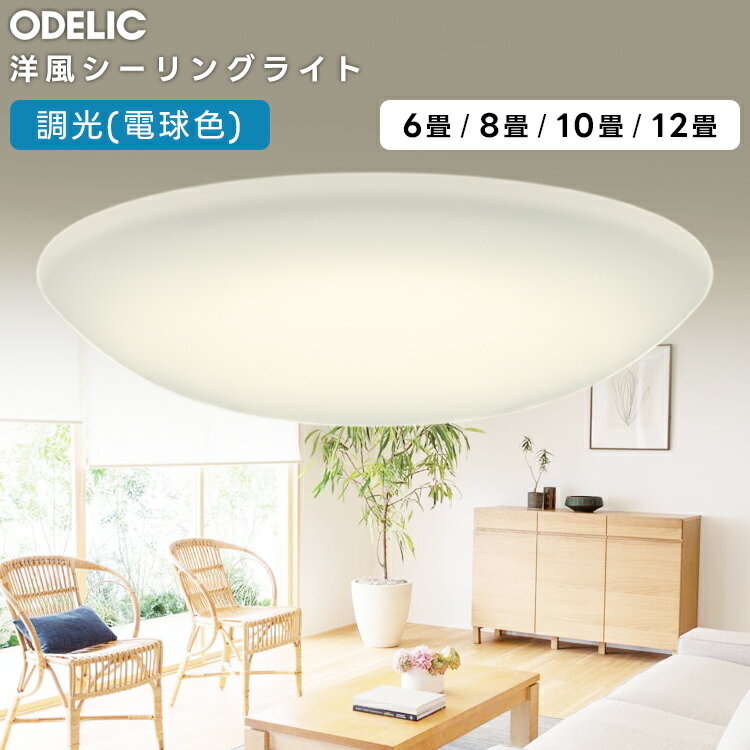 樂天商城 - ODELIC オーデリック(OX) LED調光シーリングライト〜10畳 OL291346LR