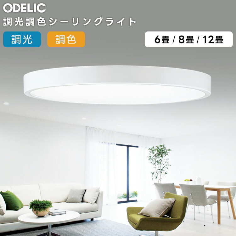 楽天市場】ol291365 オーデリックの通販