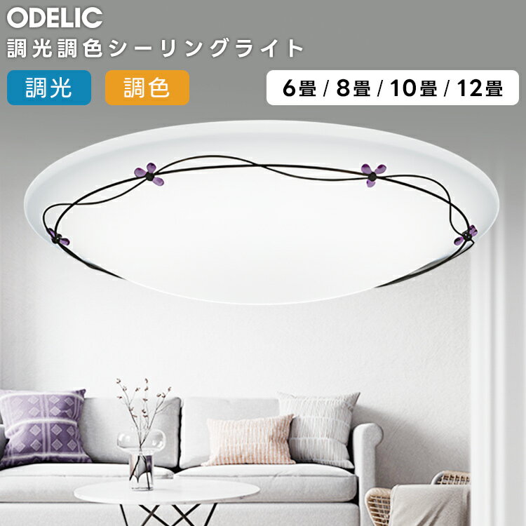 樂天商城 - ODELIC オーデリック LED調光調色シーリングライト〜10畳(リモコン別売） OL251209BCR