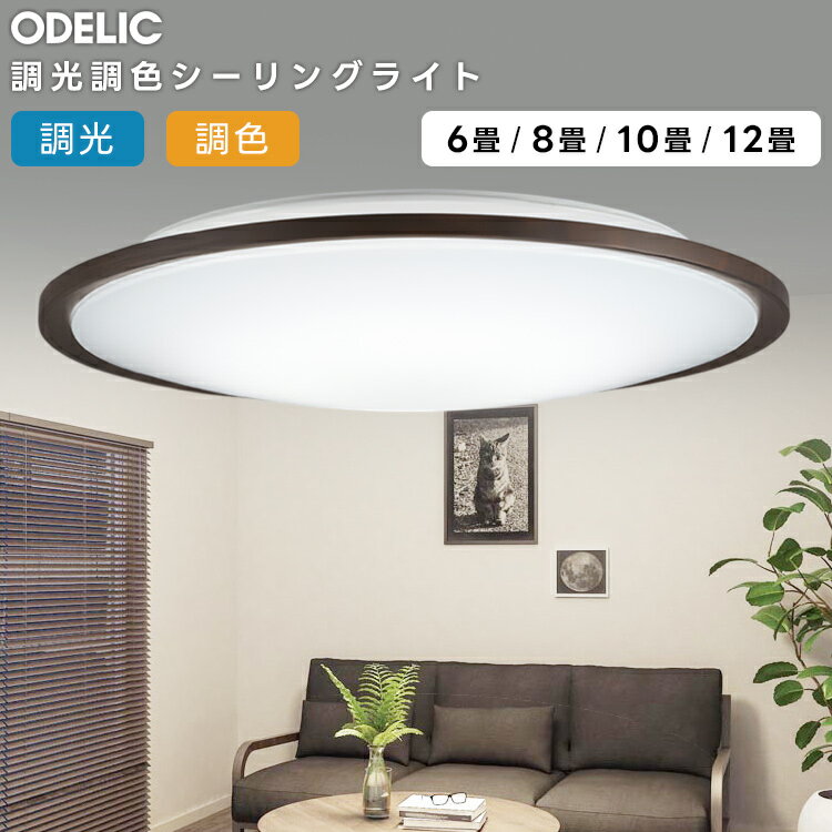 樂天商城 - ODELIC オーデリック LED調光調色シーリングライト〜12畳(リモコン別売） OL291317BCR
