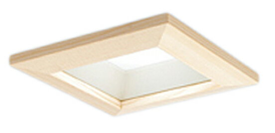 ODELIC オーデリック LEDダウンライト OD261119R