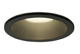 ODELIC オーデリック (OS) 軒下用LEDダウンライト OD261798R