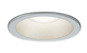 ODELIC ǥå LED饤(Ϣưб OD261993R