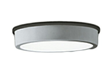 ODELIC オーデリック(OX) LED軒下シーングライト OG254531