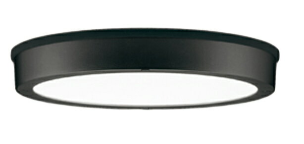 ODELIC オーデリック LED軒下シーリングライト OG254809