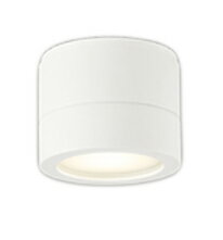 Rakuten - ODELIC オーデリック LED軒下シーリングライト OG264062LR