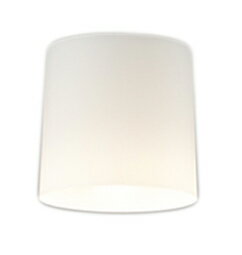 ODELIC オーデリック(OS) LED小型シーリングライトOL013006LR