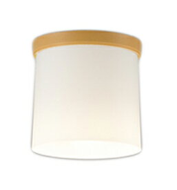 ODELIC �����ǥ�å� LED����������󥰥饤�� OL013007LR