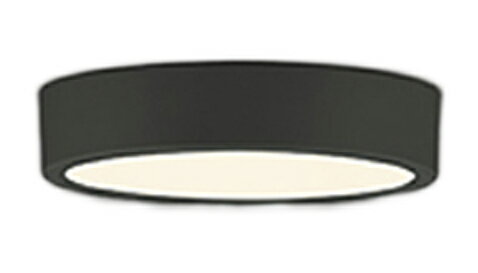 樂天商城 - ODELIC オーデリック(OX) LED小型シーリングライト OL251753R