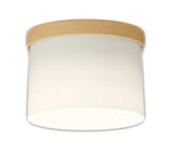 樂天商城 - ODELIC オーデリック LED小型シーリングライト OL291268LR