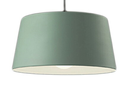 ODELIC オーデリック LEDペンダント OP252133NR