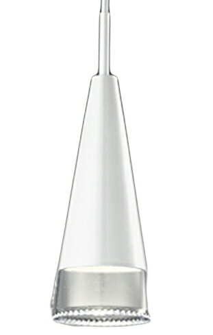 ODELIC オーデリック(OX) LEDプラグタイプペンダント OP252226NR