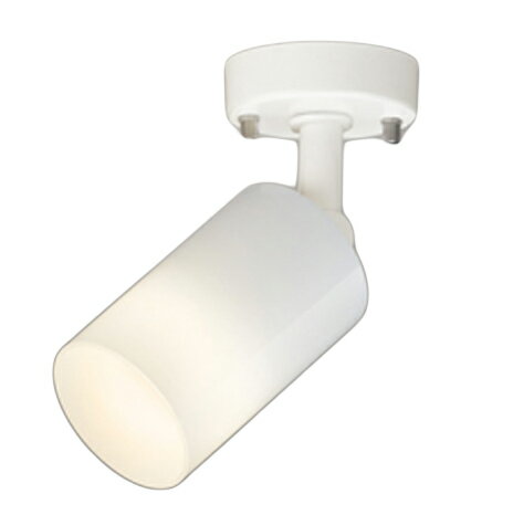 樂天商城 - ODELIC オーデリック(OX) LEDスポットライト OS256560LR