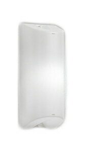 ODELIC オーデリック(OS) LEDポーチライト OG254673NR