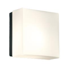 ODELIC オーデリック LEDポーチライト(別売人検知カメラ対応・別売センサー対応) OG254980LCR