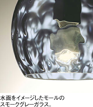ODELIC �����ǥ�å� LED�ڥ����� OP252988LR
