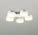 WF300LR オーデリック シーリングファン専用LED灯具 〜6畳用 電球色 (LED交換可能)