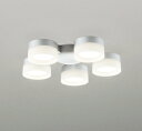 WF300WR オーデリック シーリングファン専用LED灯具 〜6畳用 温白色 (LED交換可能)