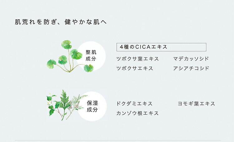 LIHAW 公式 CICA クリームディープモイスチャークリーム（100g） 4種のCICAエキス 濃密セラミド 3種のコラーゲン 3種のヒアルロン酸 ボタニカル スキンケア シカケア 敏感肌 保湿ケア シカクリーム クリーム 高保湿 セラミド 肌荒れ 乾燥肌 ツボクサ葉エキス lihaw-10000010 LIHAW サンプル画像3