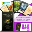 シャドーキャット【ジューン澁澤先