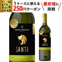 【枚数限定250円OFFクーポン使える】サンタ バイ サンタ カロリーナ　ソーヴィニヨン ブラン 白ワイン 750ml 12本 ケース 長S 母の日 父の日