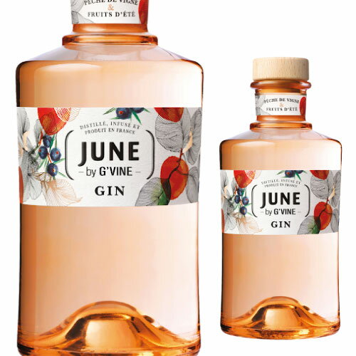 ジューン ジン リキュール ピーチ 37.5度 700mlジーヴァイン GVine JUNE PEACH 桃 もも フランス GIN LIQUEUR 長S ジューン ジン リキュール ピーチ 37.5度 700mlジーヴァイン GVine JUNE PEACH 桃 もも フランス GIN LIQUEUR 長S