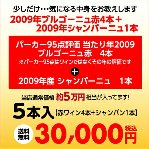 パーカー95点評価のブルゴーニュ当たり年20094本+09シャンパーニュ1本5本福袋3万円5本入り【ワイン福袋】【送料無料】