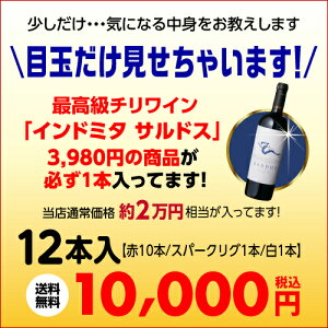 最高級チリワイン「インドミタサルドス」入りすべて金賞12本福袋1万円12本入り【ワイン福袋】【送料無料】