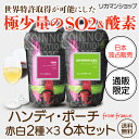 【全品P3倍 3/30限定】ボトル換算665円(税別) 送料無料 レ ゾンブレル　ペイドック　1.5Lパック　赤白2種×3　6本セット ポーチワイン 1,500ml イージーパック パウチ 1500ml 大容量 アウトドア 長S