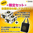 《オリジナルクーラートートバッグ★1つ付き》 送料無料 サッ...
