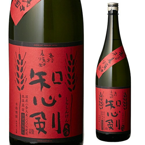 (全品P2倍 11/1限定) 11月先着300円クーポン知心剣 麦焼酎 25度 1.8L[麦焼酎][1800ml][長S]