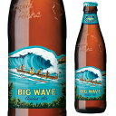 フルーティで爽やかなゴールデンエール。苦味を抑えた飲みやすい味わい。ビールの苦味が苦手な方にもおすすめです。ハワイの海と白い波のラベルが印象的。通称はビッグウェーブ。■品名 ビール ■原産国アメリカ ■アルコール度 5% ■内容量 355ml l輸入ビールl　l海外ビールl　lアメリカl　lビールl　lエールl [父の日][ギフト][プレゼント][父の日ギフト][お酒][酒][お中元][御中元][お歳暮][御歳暮][お年賀][御年賀][敬老の日][母の日][花以外]クリスマス お年賀 御年賀 お正月　