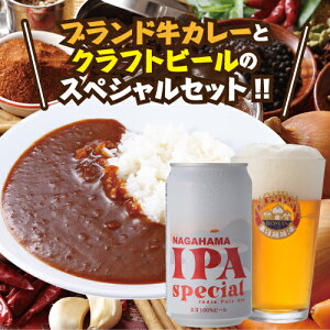 【予約販売】【10/28以降発送】近江牛ビーフカレー3袋入×2箱&長浜IPAスペシャル6本セット【送料無料】【2箱(6食入)セット】【ビール6本セット】