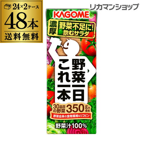 カゴメ 野菜一日これ一本 200ml 48本 送料無料 2ケース 紙パック 野菜ジュース 1本あたり105円 長S