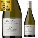 送料無料 1本あたり2,091円(税別)コノスル シングルヴィンヤード シャルドネ 750ml×6本入 チリ 白ワイン 辛口 シングルビンヤード 長S