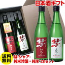 ギフト 彗 シャア 金賞受賞セット純米吟醸・純米2本セット 送料無料 720ml 日本酒 清酒 飲み比べ 長野県 遠藤酒造場 長S