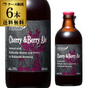 【全品P3倍 3/30限定】北海道麦酒醸造 クラフトビール チェリー＆ベリー エール 300ml 瓶 6本セット 1本あたり485円(税別) 送料無料 フ..