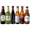 ビール飲み比べセット 【全品P3倍 4/24 20時～4/27 10時 限定】【ママ割エントリーP2倍】世界のビール 6本 飲み比べギフトセット 送料無料スペイン産高級ビール入 ビール セット ビールギフト 長S 母の日