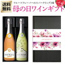 【全品P3倍 4/30限定】遅れてごめんね 送料無料 母の日 ギフトBOX フランス 甘口 フルーツフレーバー スパークリングワイン 2本ギフトセット バー ロワイヤル ピーチ 1本 バー ロワイヤル グリーンアップル 1本 ワインギフト長S