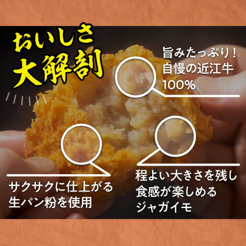 送料無料 鴨川しんの 近江牛コロッケ 20個入 近江牛 日野牛 牛肉 肉 ビーフ コロッケ 総菜 おかず グルメ 鴨川たかし 産地直送 冷凍 (産直) 母の日 父の日 3